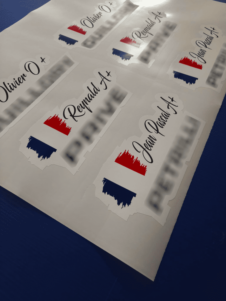 Sticker Autocollant Pilote - copilote