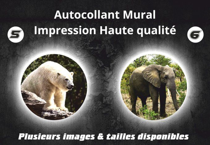 Autocollant Mural Animaux