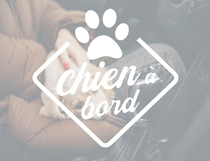 Sticker “Chien à Bord” – Sécurité et style pour votre voiture !