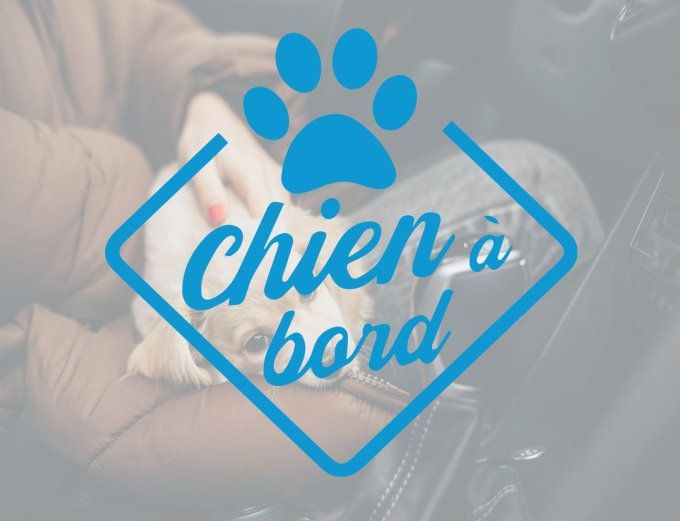 Sticker “Chien à Bord” – Sécurité et style pour votre voiture !