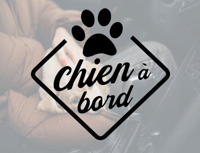 Sticker “Chien à Bord” – Sécurité et style pour votre voiture !