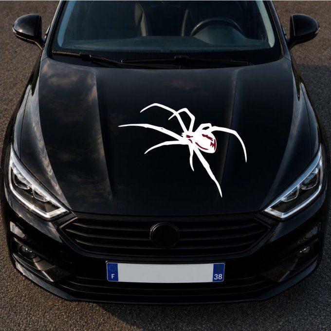 Sticker Araignée - Autocollant Décoratif pour Capot, Voiture, 4x4 & Moto