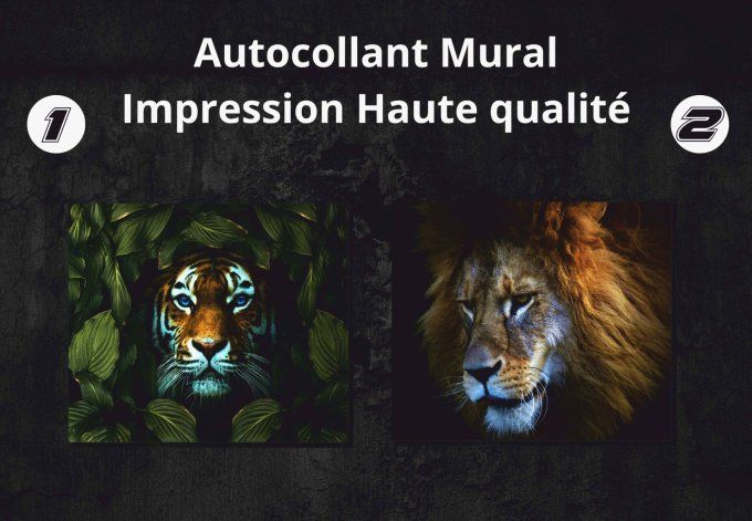 Photo d’Animal sur Plaque de Dibond 3mm – Décoration Murale Haut de Gamme