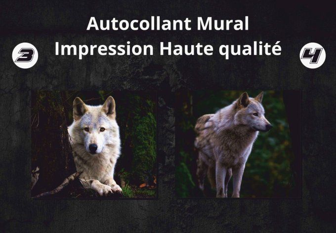 Photo d’Animal sur Plaque de Dibond 3mm – Décoration Murale Haut de Gamme