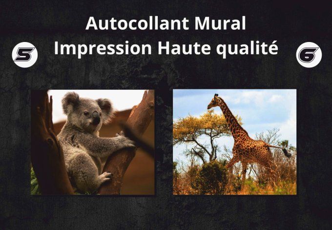 Photo d’Animal sur Plaque de Dibond 3mm – Décoration Murale Haut de Gamme