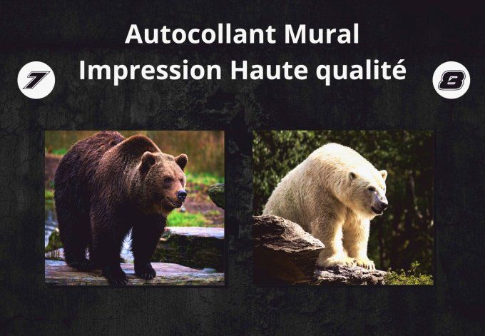 Photo d’Animal sur Plaque de Dibond 3mm – Décoration Murale Haut de Gamme