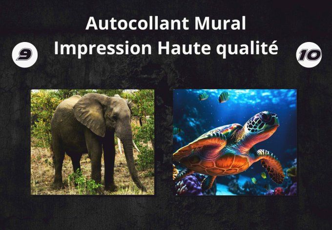 Photo d’Animal sur Plaque de Dibond 3mm – Décoration Murale Haut de Gamme